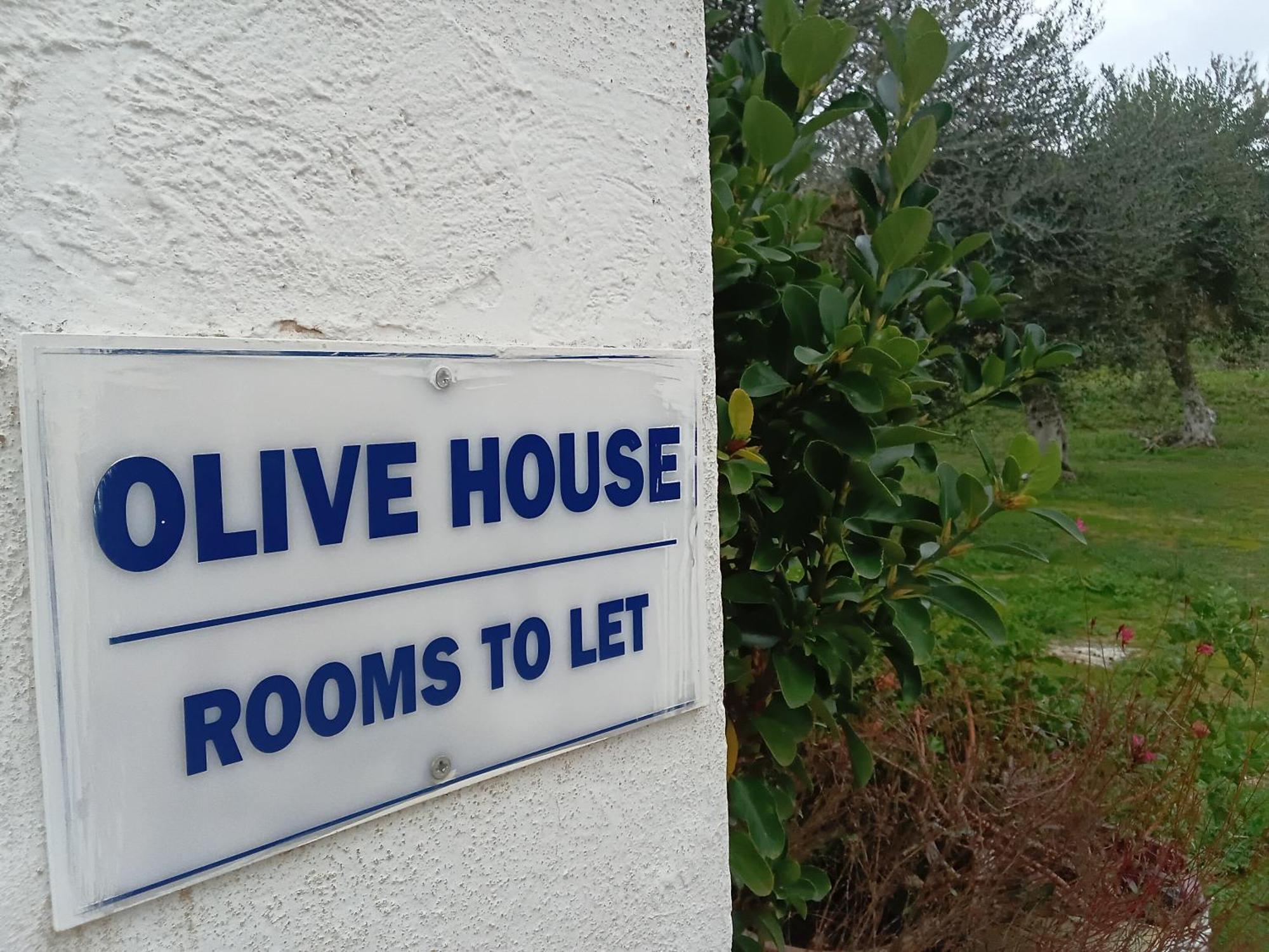 Bed and Breakfast Olive House Marathiás Exterior foto